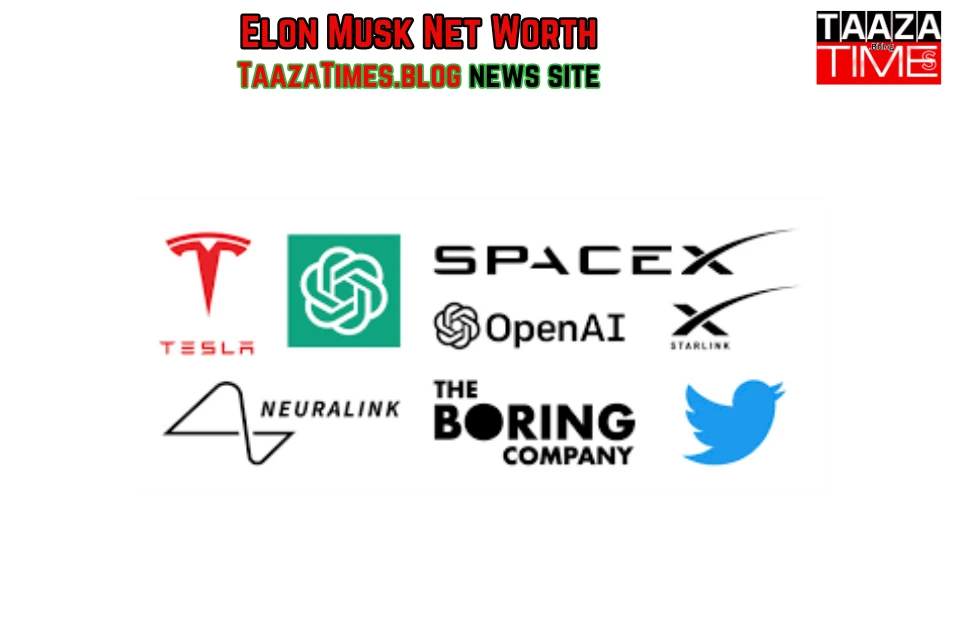 Elon Musk Company List