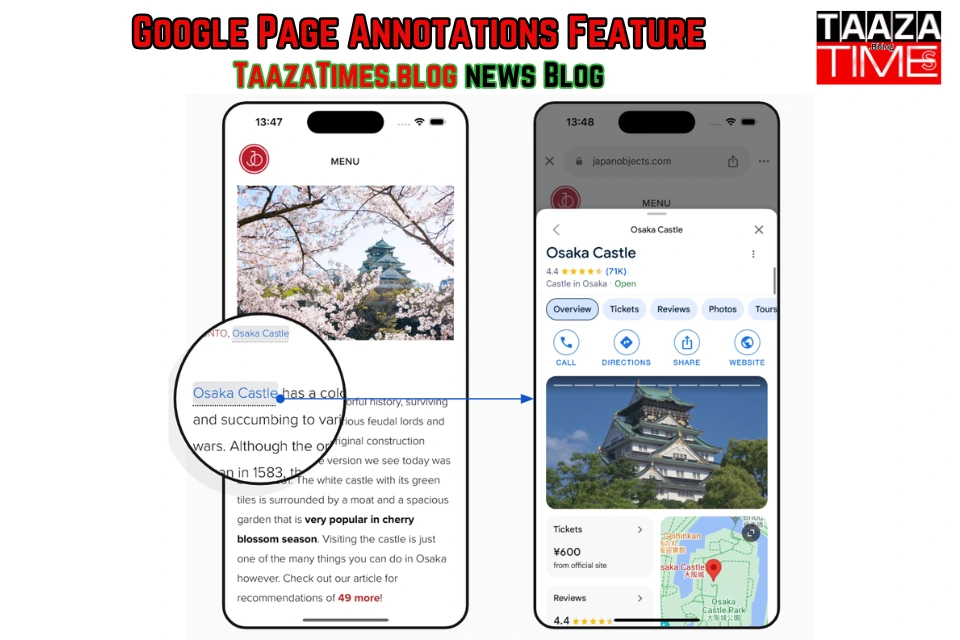 Google Page Annotation Feature